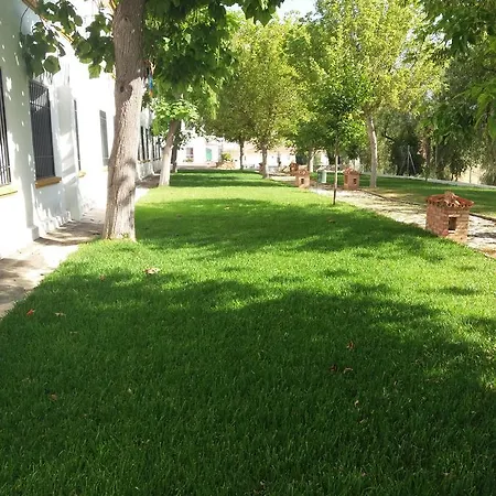 Al-jalid * Cañete la Real